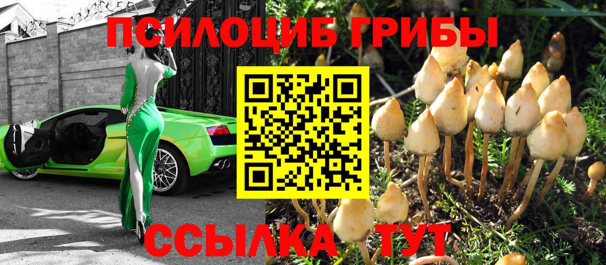 Псилоцибиновые грибы Magic Shrooms Минусинск