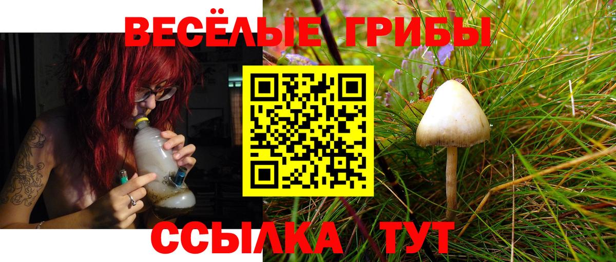 Псилоцибиновые грибы MAGIC MUSHROOMS  Вход с VPN  Минусинск 